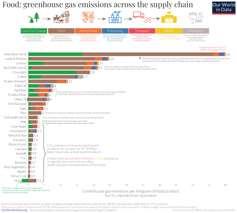 Environmental impact of food by life cycle stage